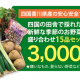 四国香川県kanagawa×野菜 四国香川県kanagawa×野菜