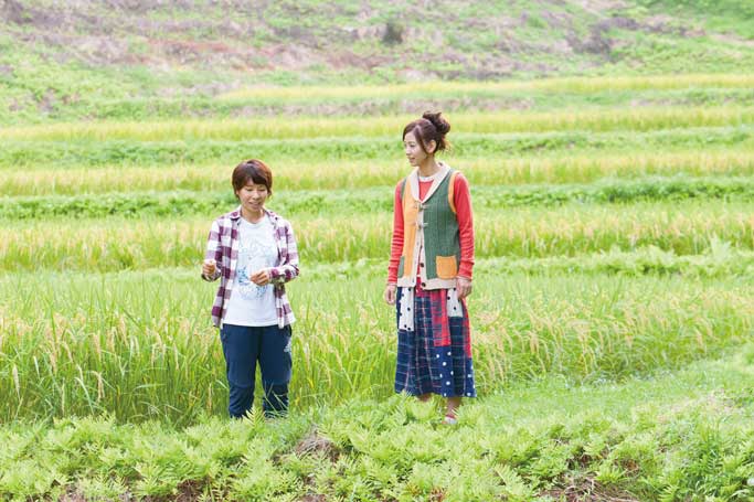 就農4年、新米農業女子の有機米づくり「きぼうのたねカンパニー株式会社」　