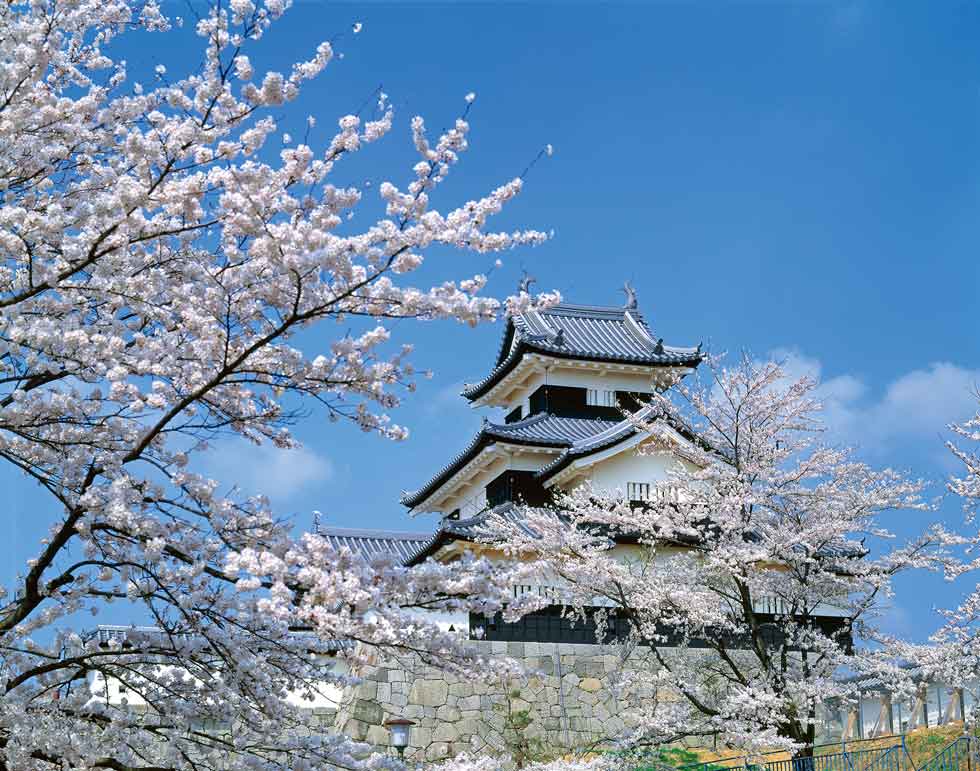 白河の歴史・名桜＆ご当地ヒーロー「ダルライザー」が白河をガイドする”すごろくガイド”