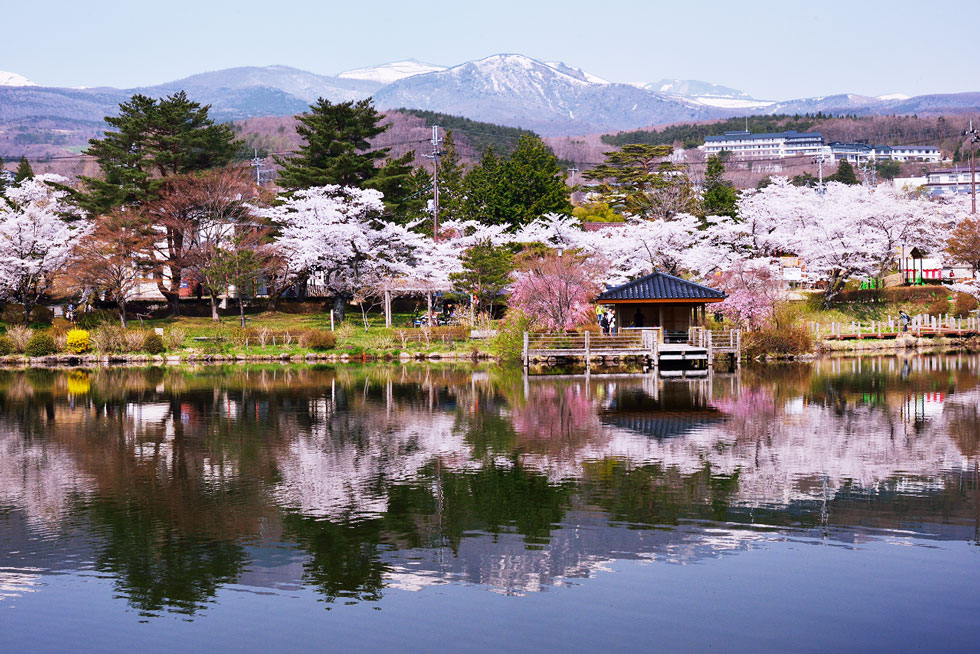 二本松市の魅力とは 菊人形 提灯祭り 岳温泉とレジャーにおすすめ 二本松市の魅力とは 菊人形 提灯祭り 岳温泉とレジャーにおすすめ
