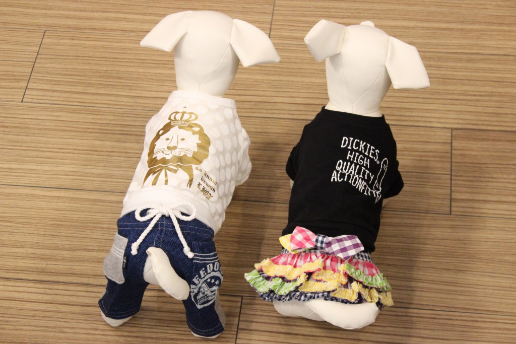 郡山市内でワンちゃんのグッズを買うなら？可愛い&便利なアイテムのお店をご紹介♪