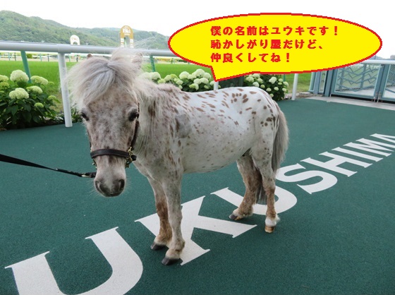 ウインズ・デー