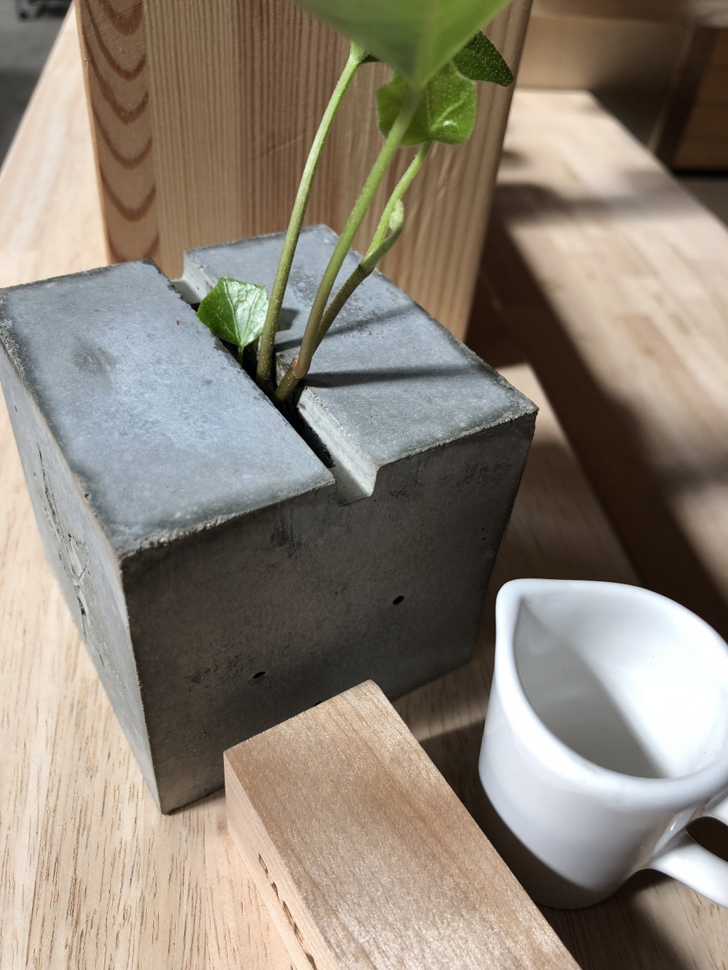 メイン