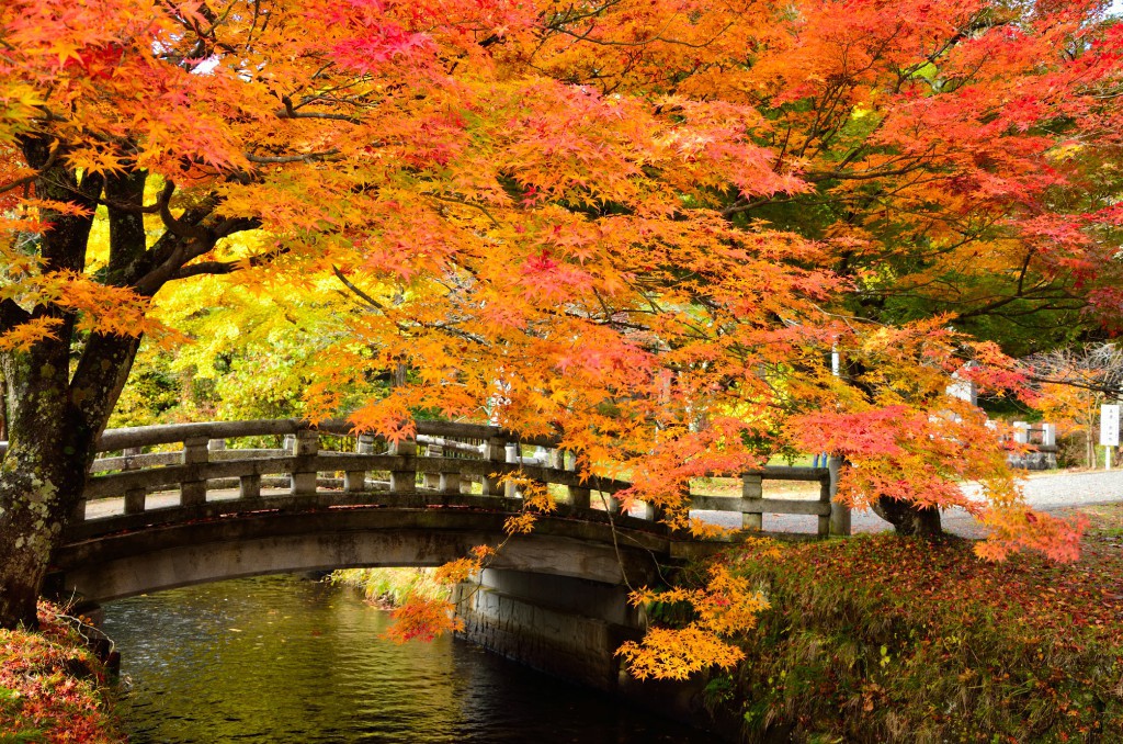 土津神社(橋)