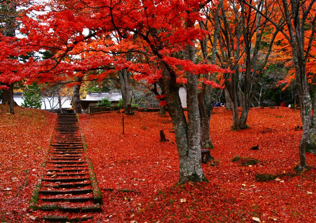 土津神社(石段)