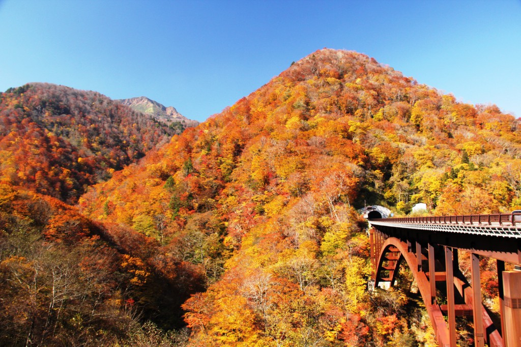 甲子大橋 (2)