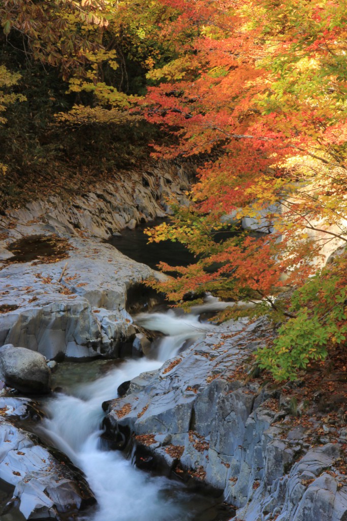 中津川渓谷 (2)