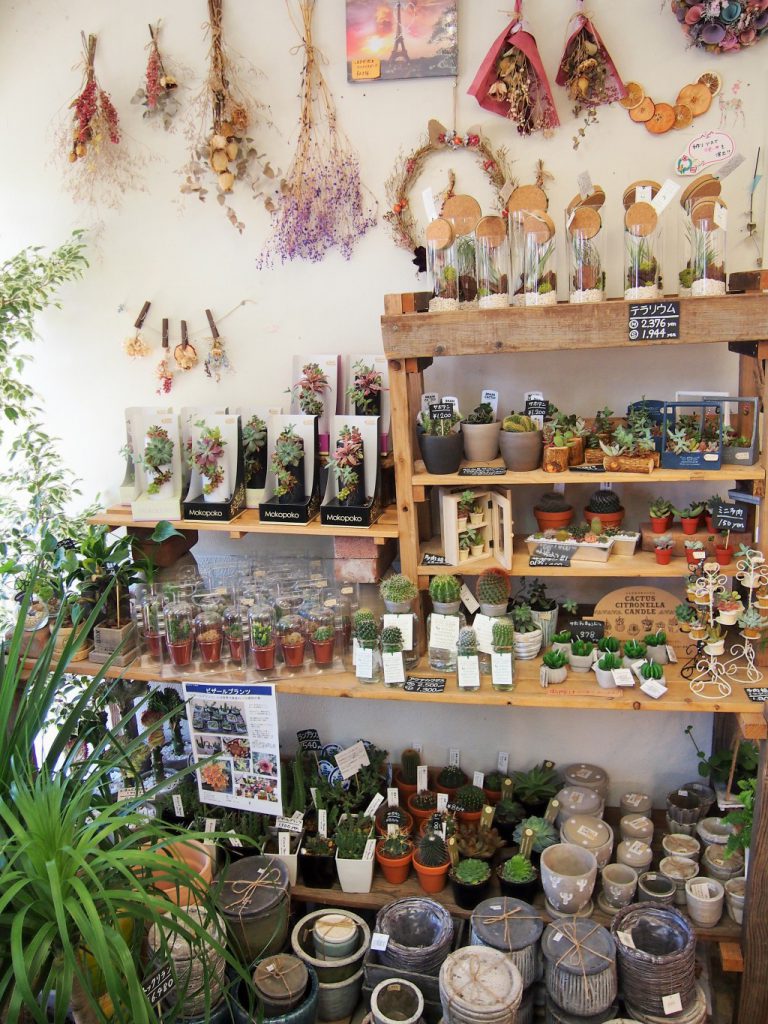 (16)店内_多肉植物コーナー