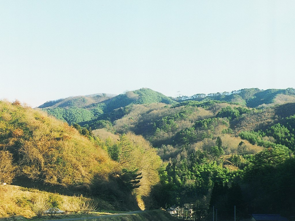 長寿山