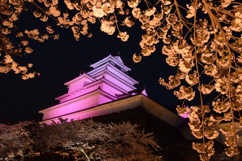 昼とは違った魅力の「夜桜」スポット。ライトアップ情報や立ち寄りスポットも。