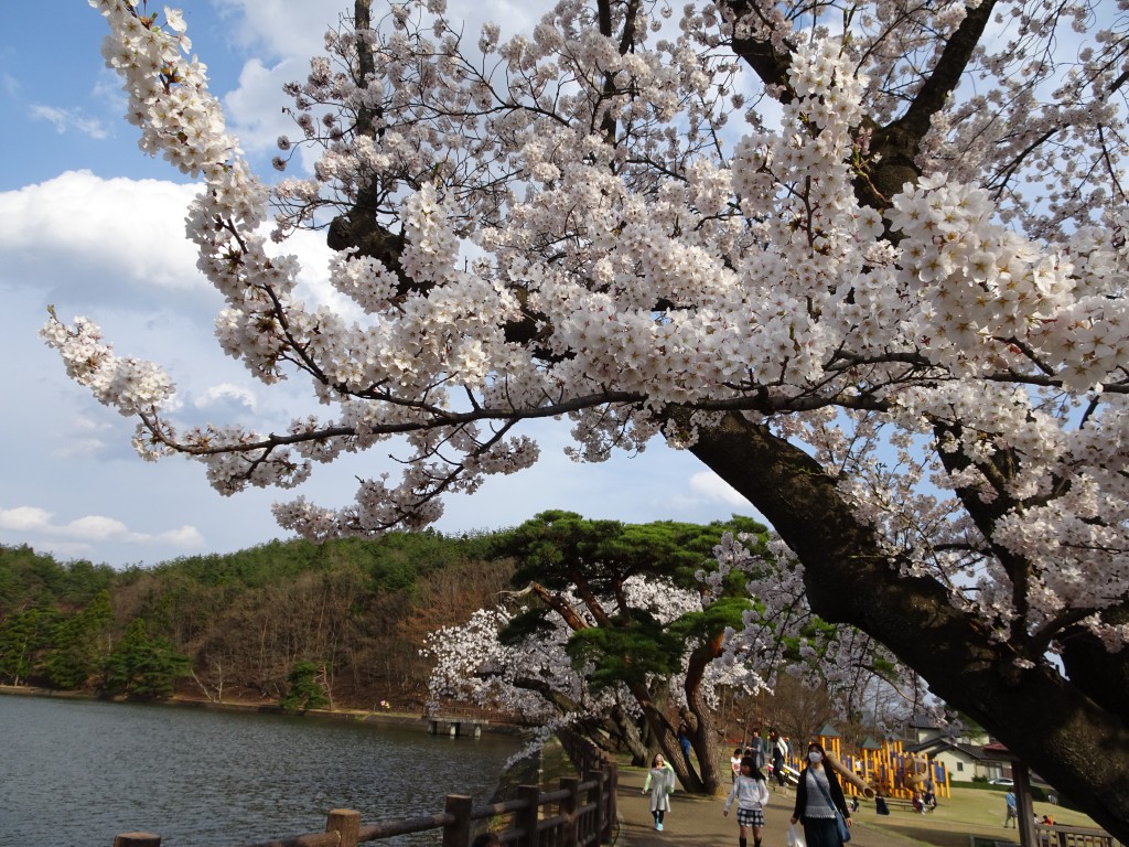 十六沼公園