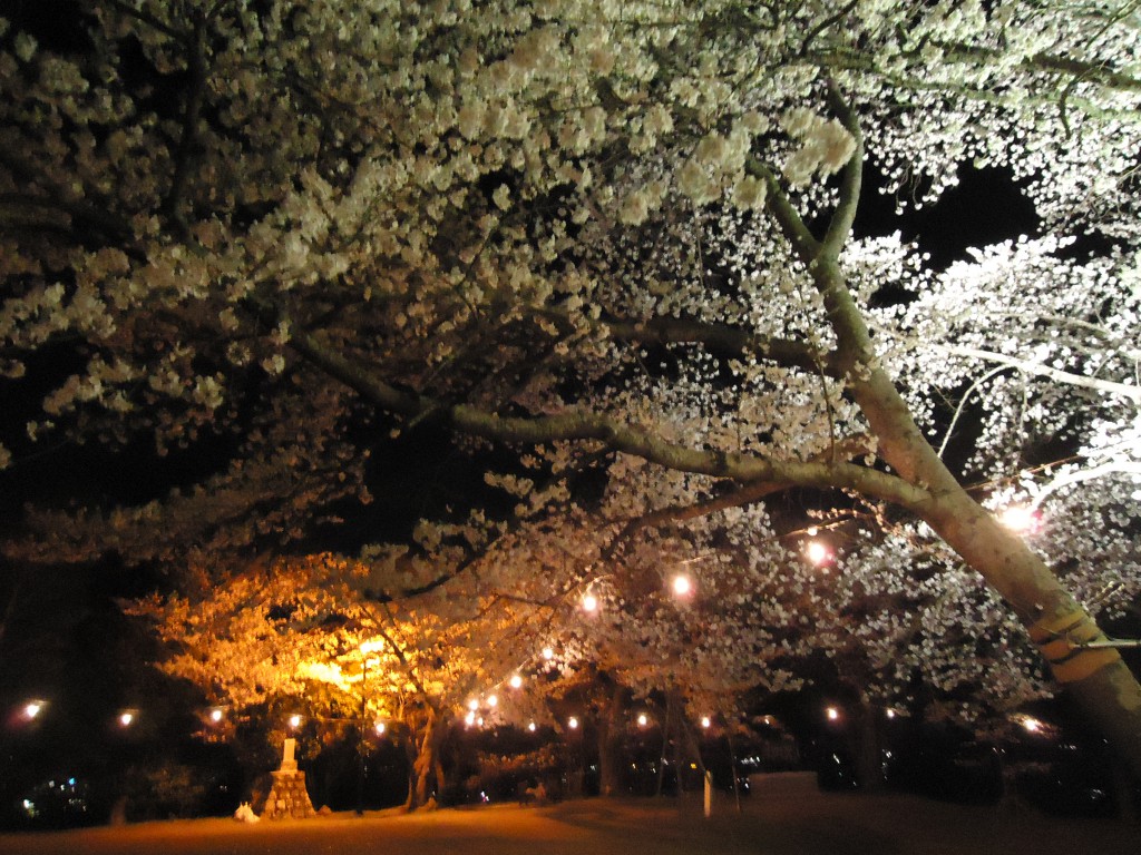 大森城山公園