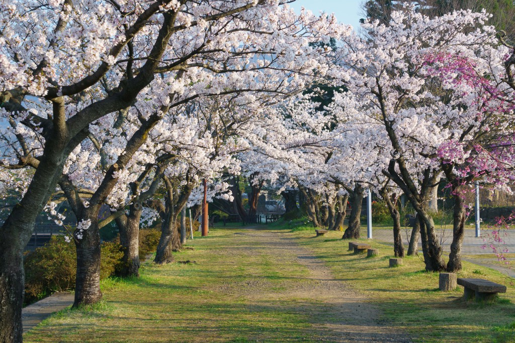 観月台公園 (2)