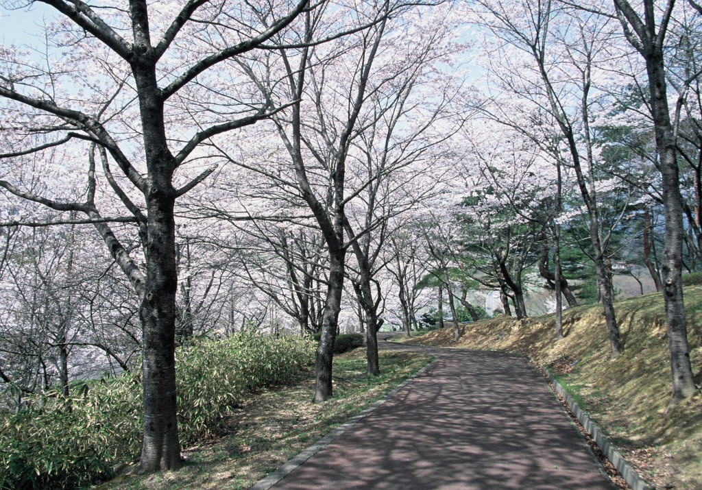 舘ノ山公園