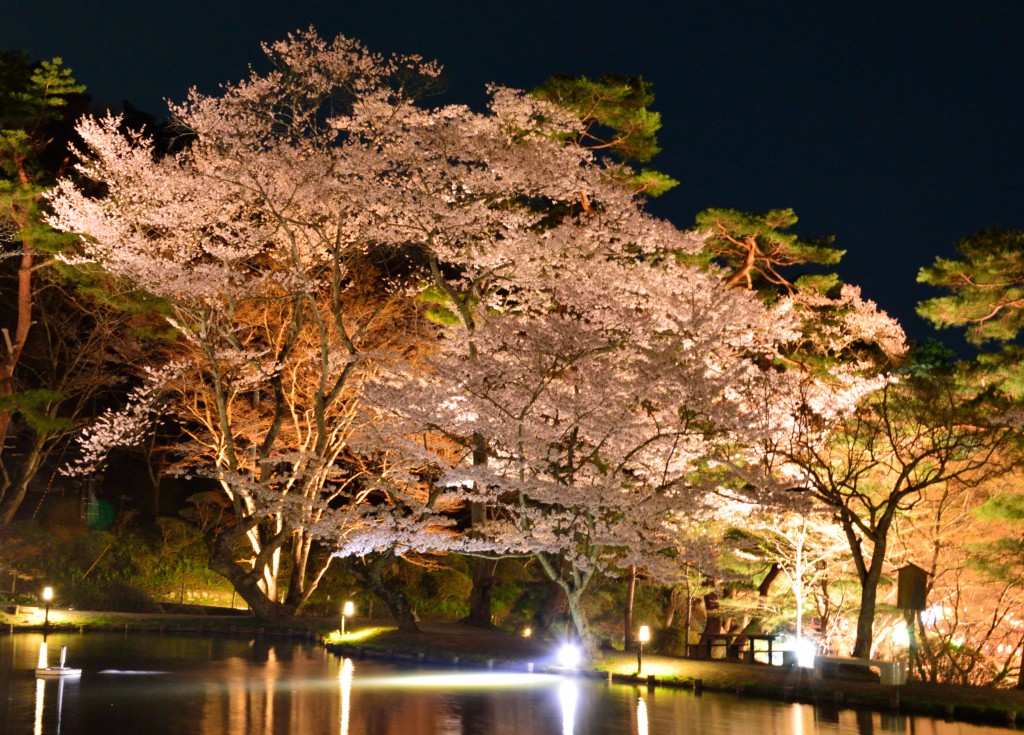 霞ヶ城公園の桜まつり「庭園のライトアップ」