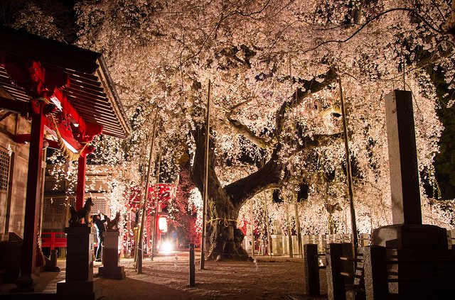 小川諏訪神社 (1)