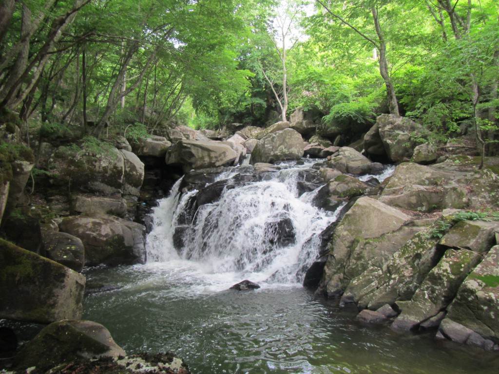 山鶏滝