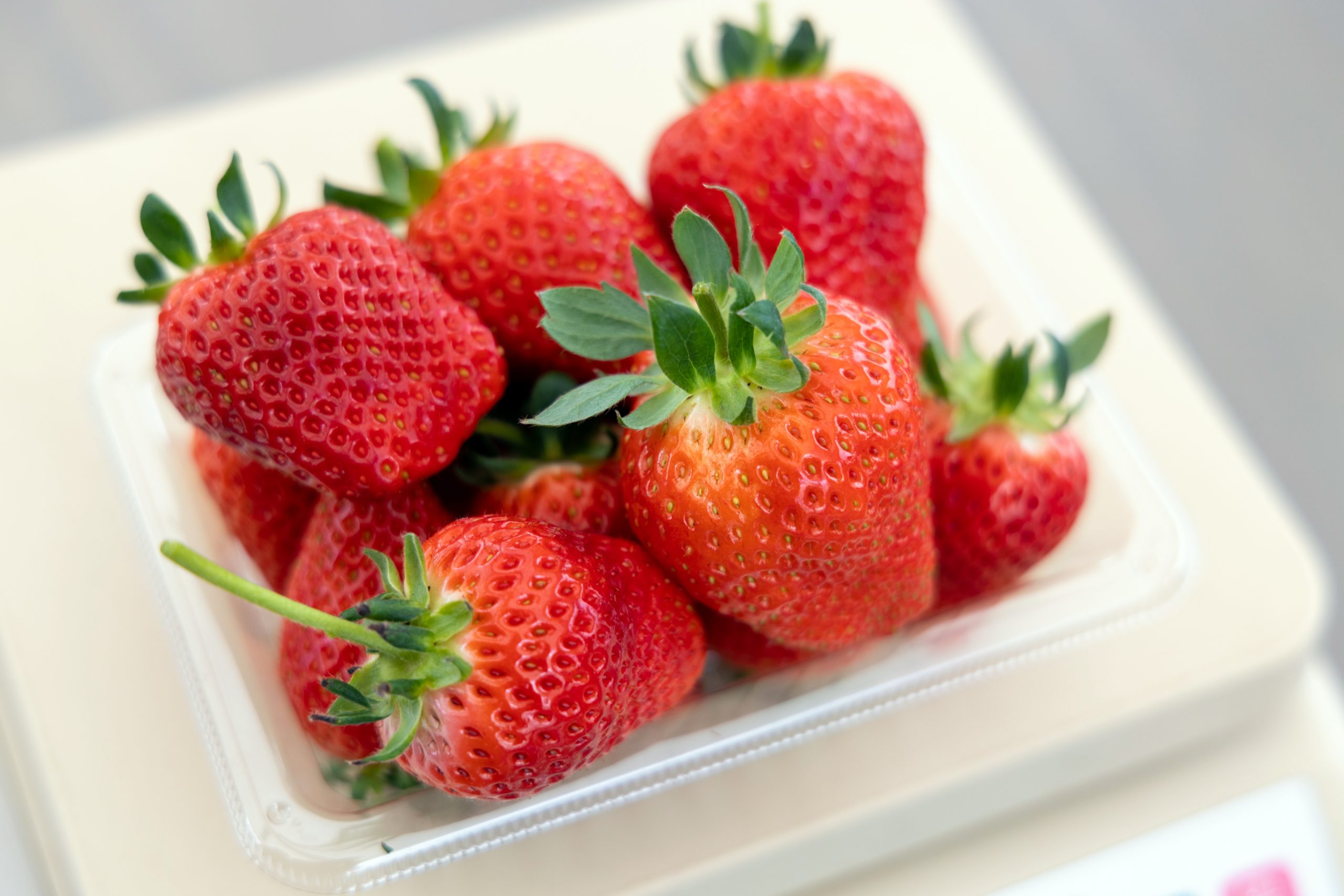 福島県内いちご狩りスポットまとめ 採れたての美味しさを満喫できる旬の いちご狩り に出かけよう