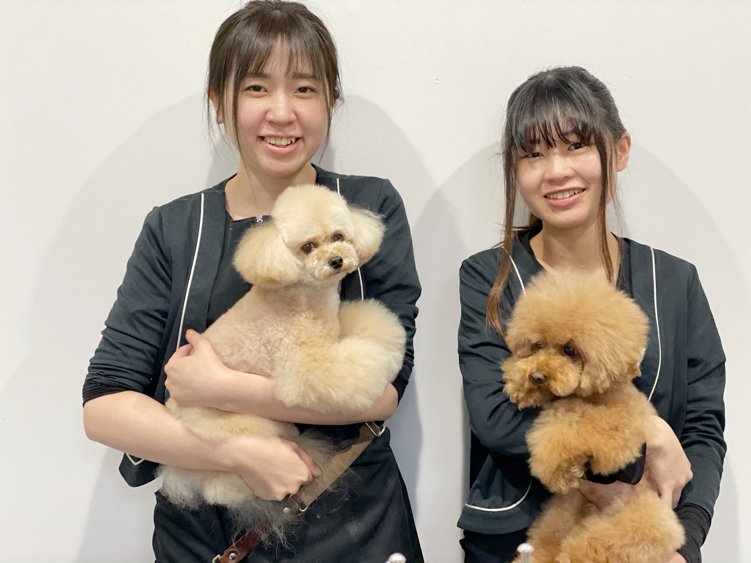 知識 技術upも間違いなし 二本松の ハートオブワン でトリマー募集中