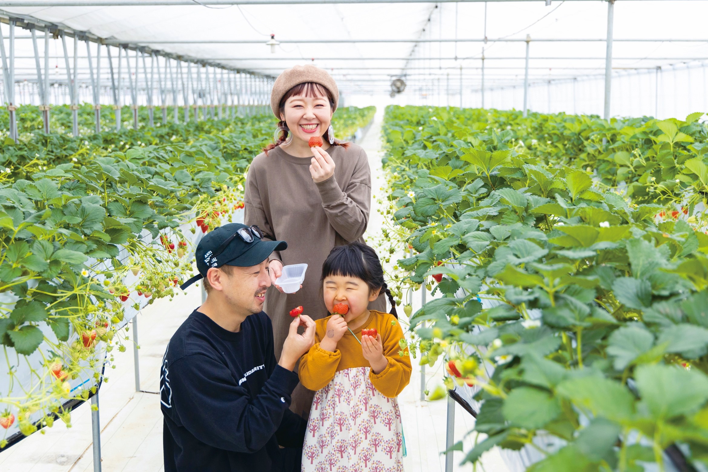 福島県内いちご狩りスポットまとめ 採れたての美味しさを満喫できる旬の いちご狩り に出かけよう
