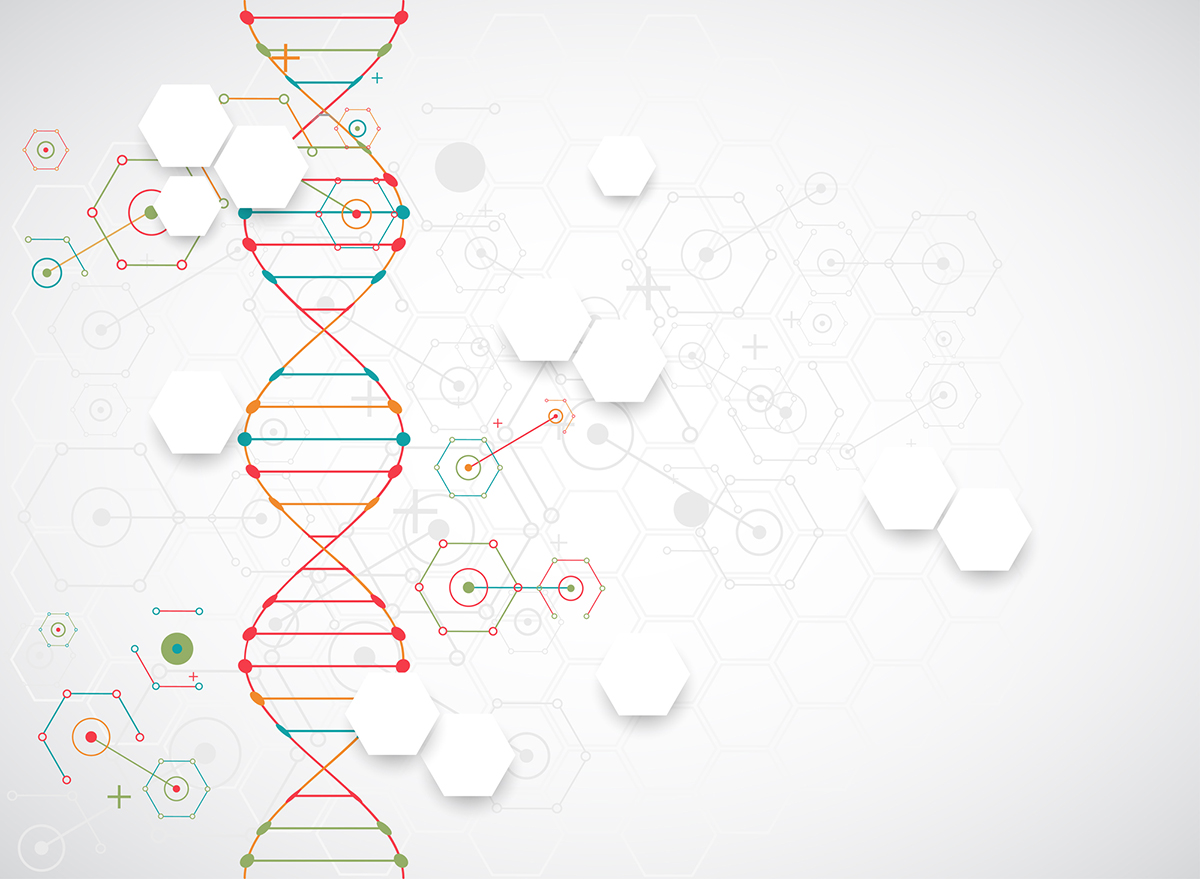 マッチング Dna