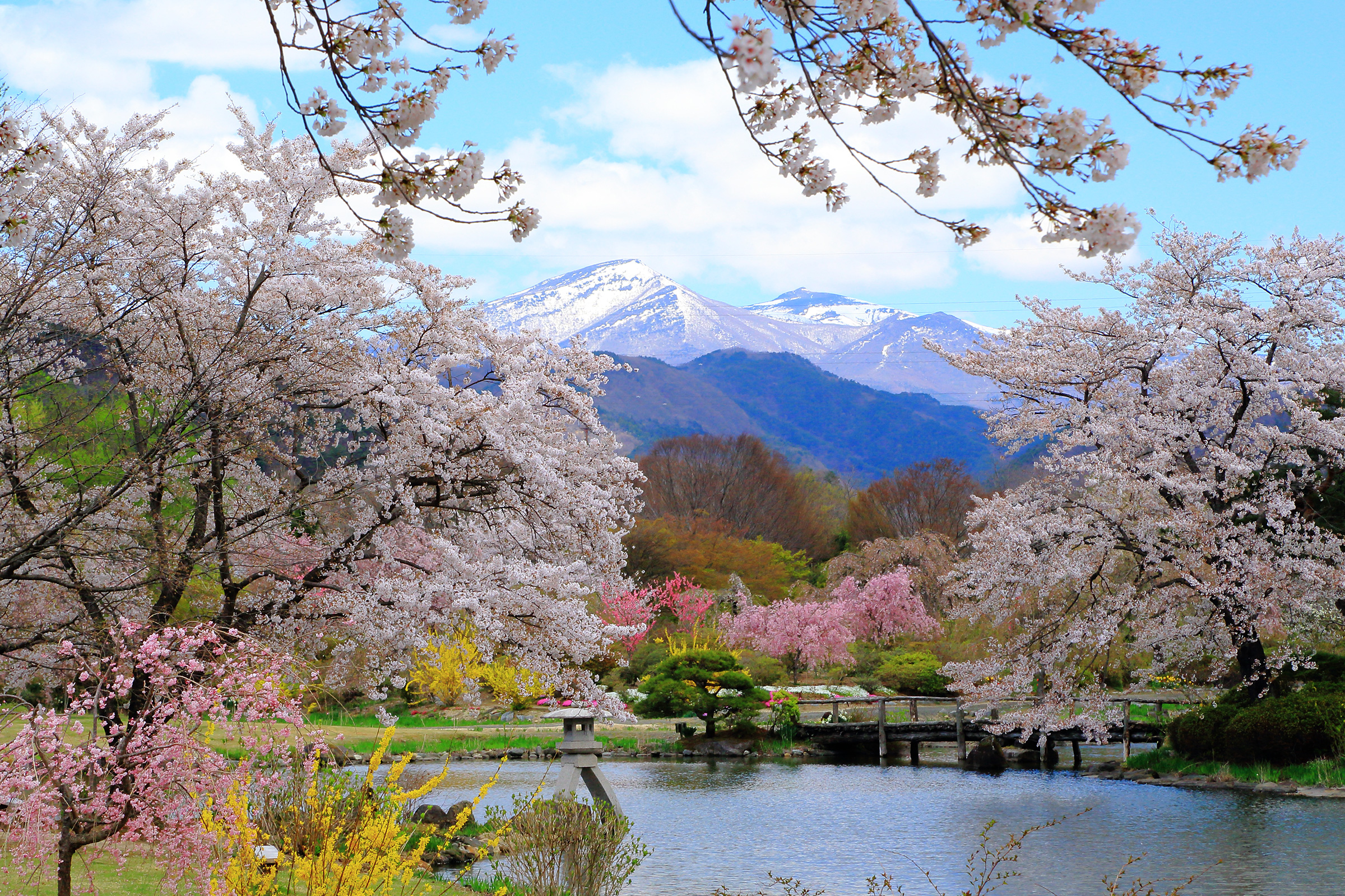 郡山から車 電車で行く花見旅 桜の名所をまわるモデルコース 郡山から車 電車で行く花見旅 桜の名所をまわるモデルコース