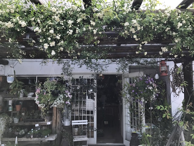 花束やドライフラワー 多肉植物も 福島市のおすすめお花屋さん3選