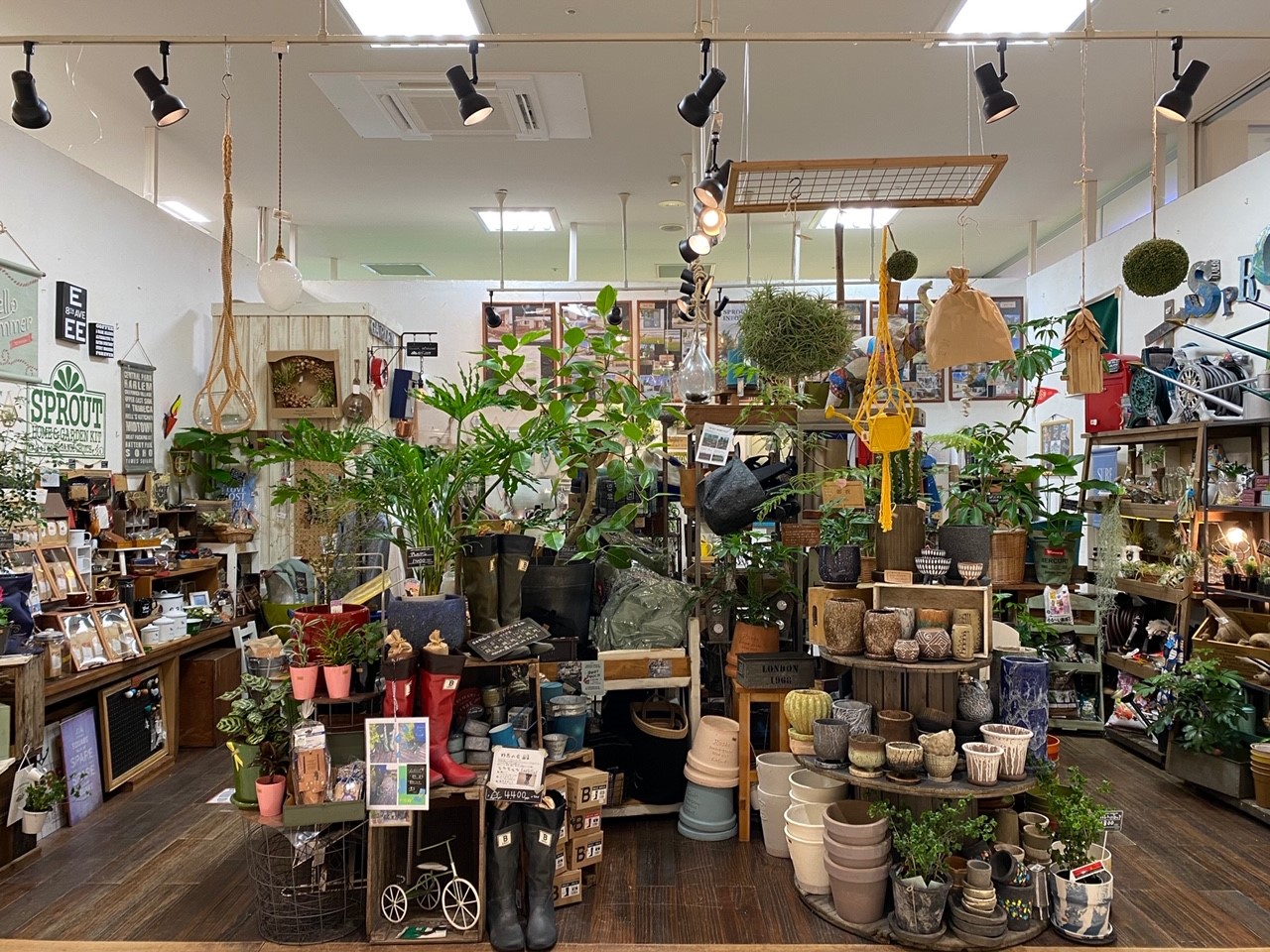 植物やガーデニング小物が揃う、SPROUT【スプラウト】フェスタ店・ブリトマート店