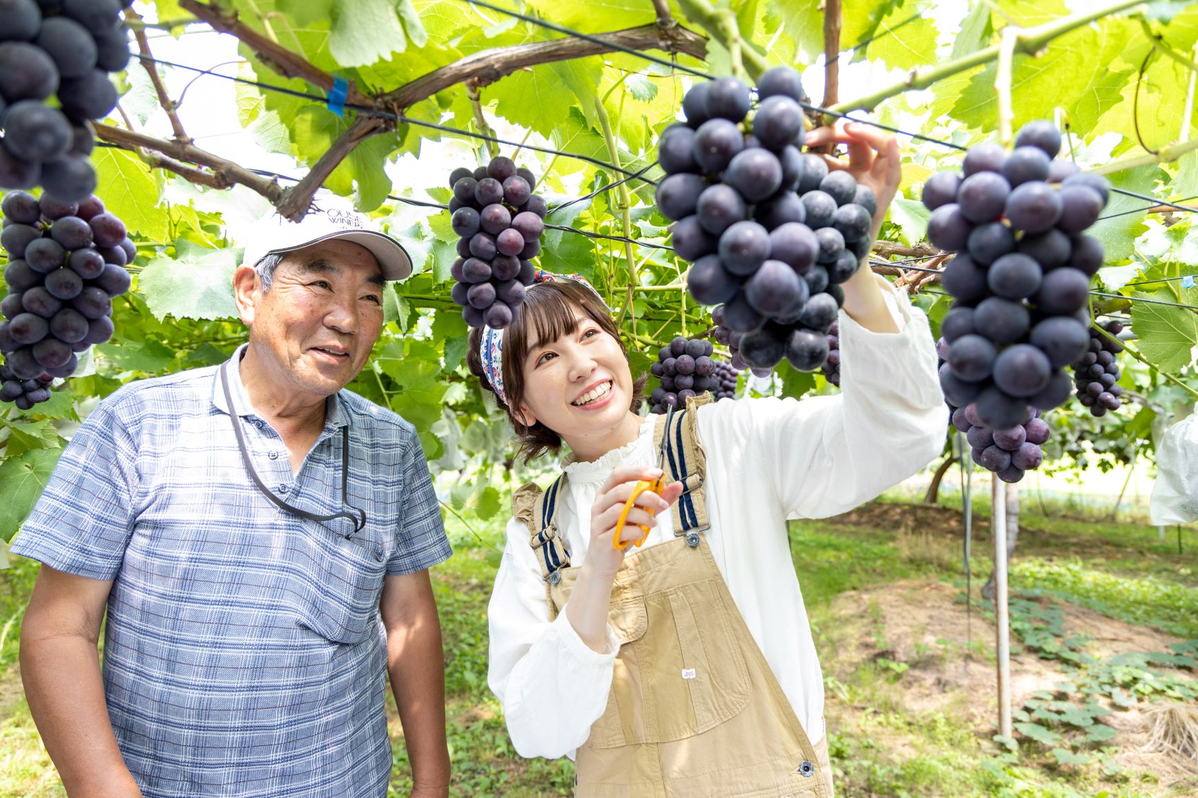 体験できる農園で実りの秋を楽しむ 郡山といわき 二本松の果物狩り