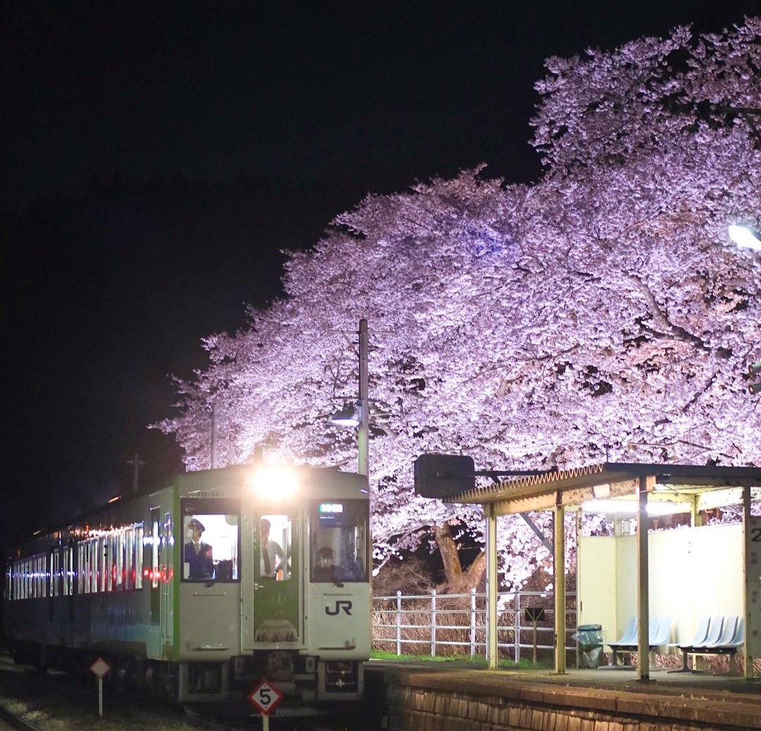 郡山から車・電車で行く花見旅！桜の名所をまわるモデルコース