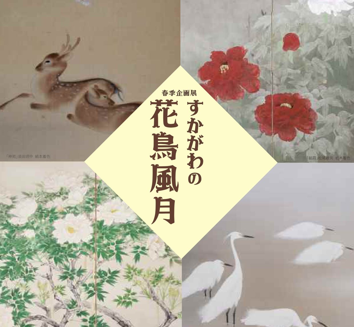 須賀川市立博物館の春季企画展「すかがわの花鳥風月」