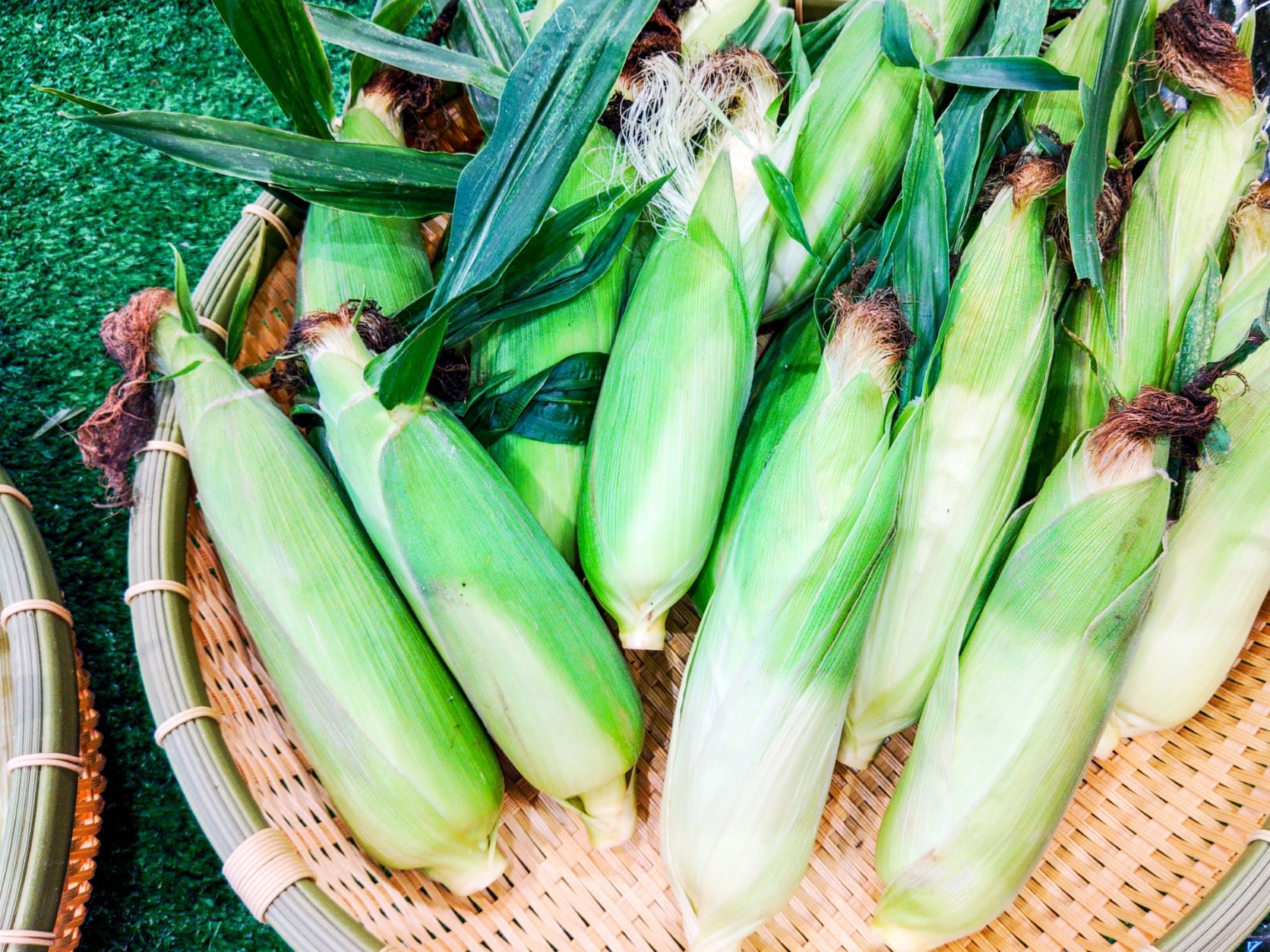 地元野菜収穫体験