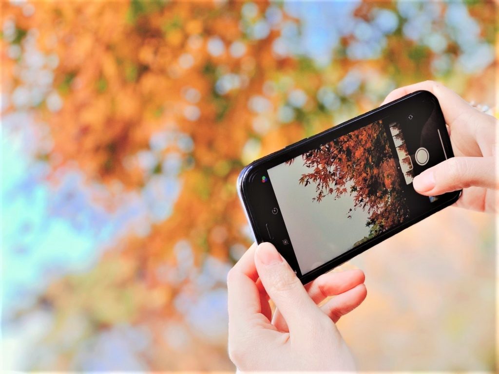 蛇の鼻インスタフォトコンテスト2025結果発表！