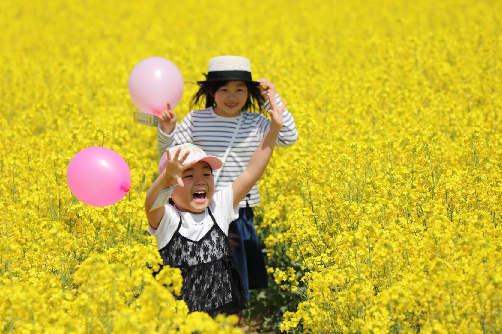 なの花めいろチャレンジ！2022