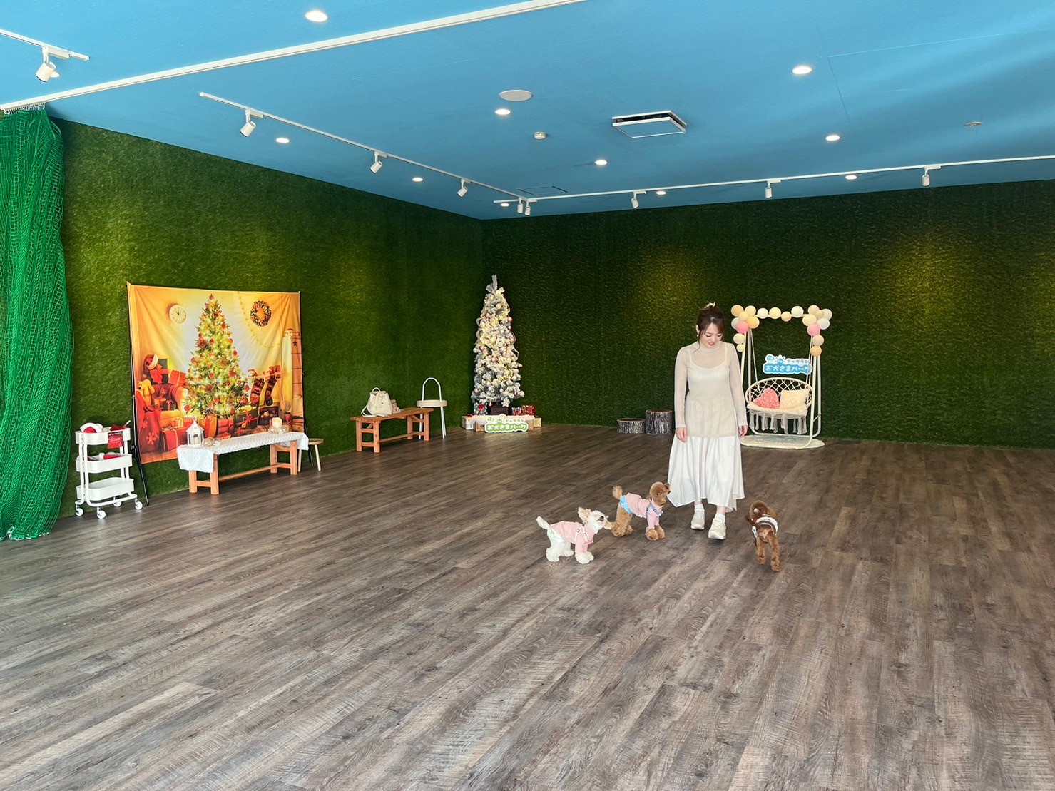 福島県内最大級！屋内外ドッグラン＆カフェが福島市瀬上にオープン♪