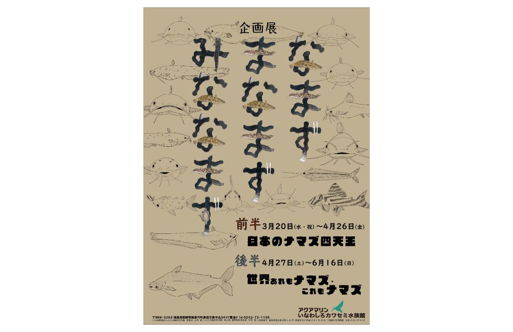 アクアマリンいなわしろカワセミ水族館 企画展「なまず　まなまず　みななまず」