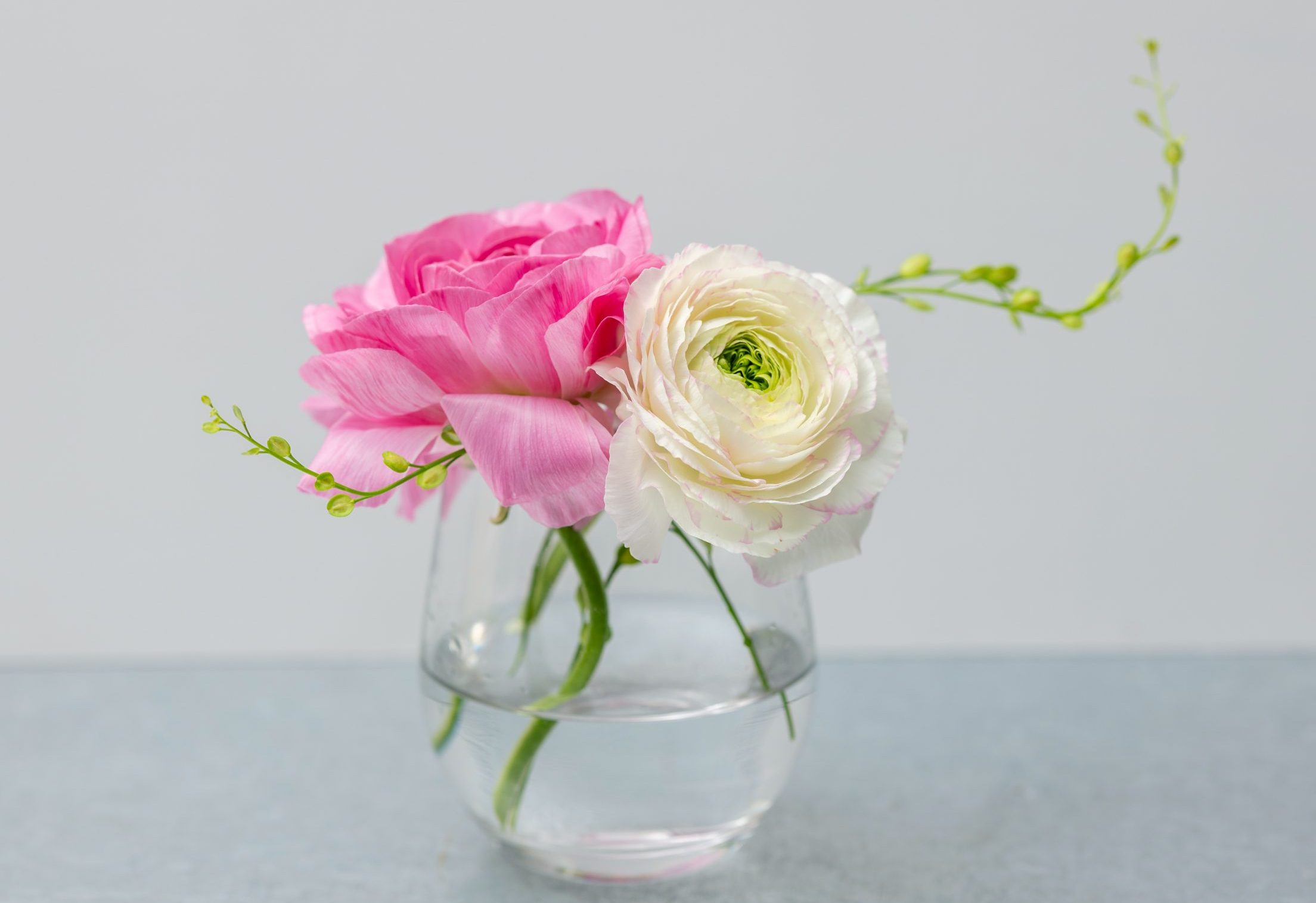 春から始めませんか？“花のある暮らし”のススメ