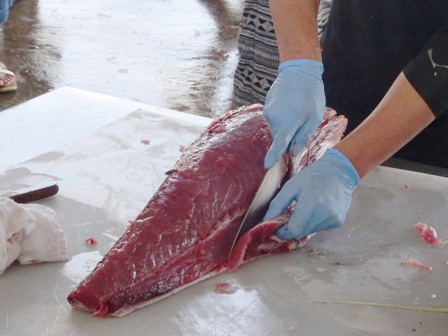 愛情館 マグロ解体ショー