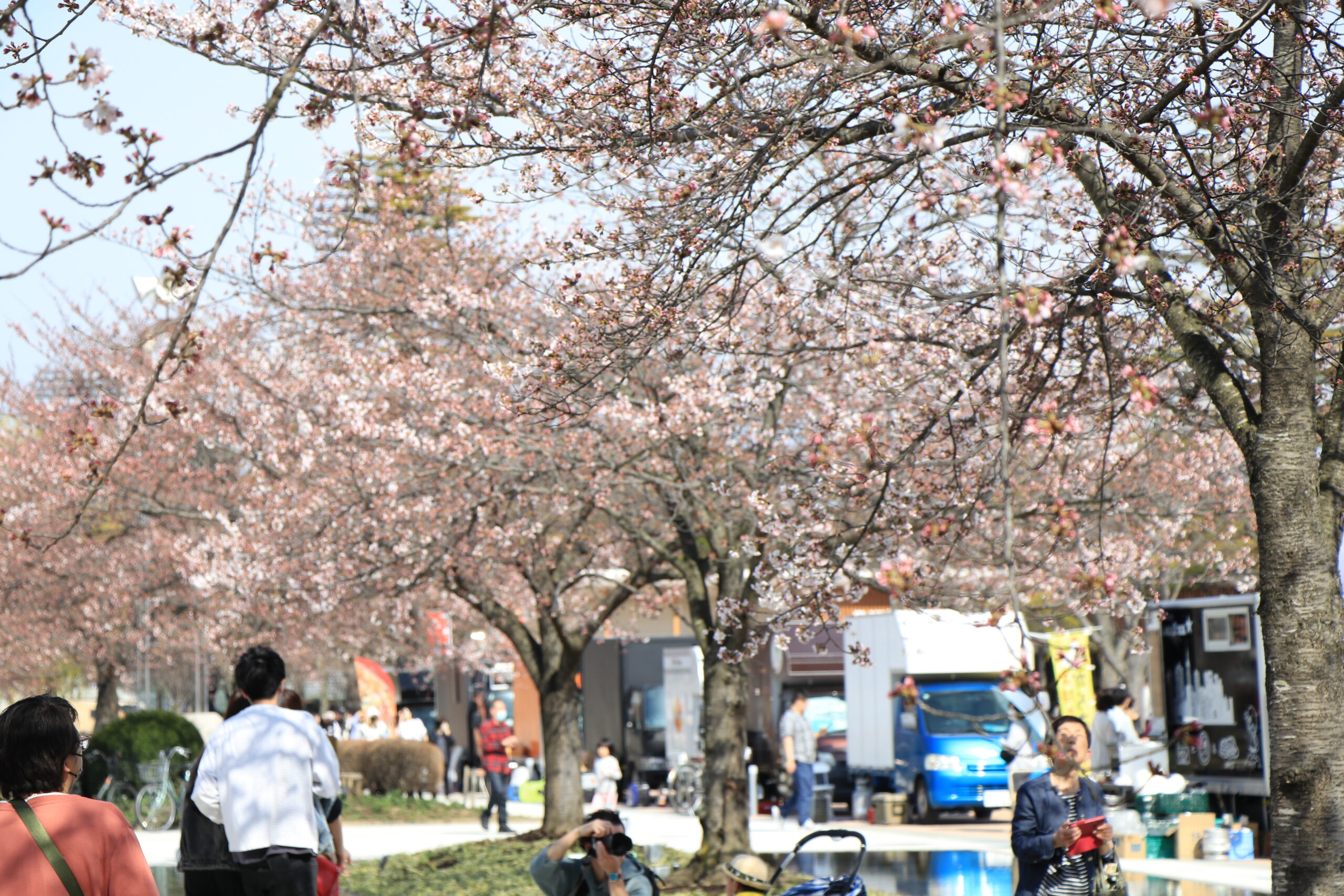 NEW「開成山公園」1周年！2024年度1年間の歩みを振り返ろう