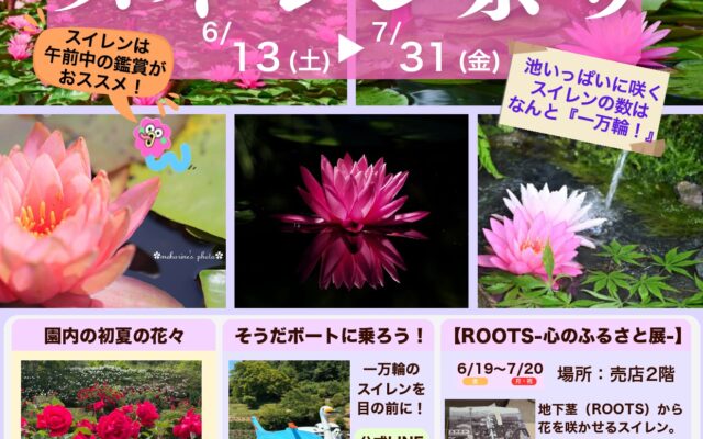 蛇の鼻:スイレンまつり