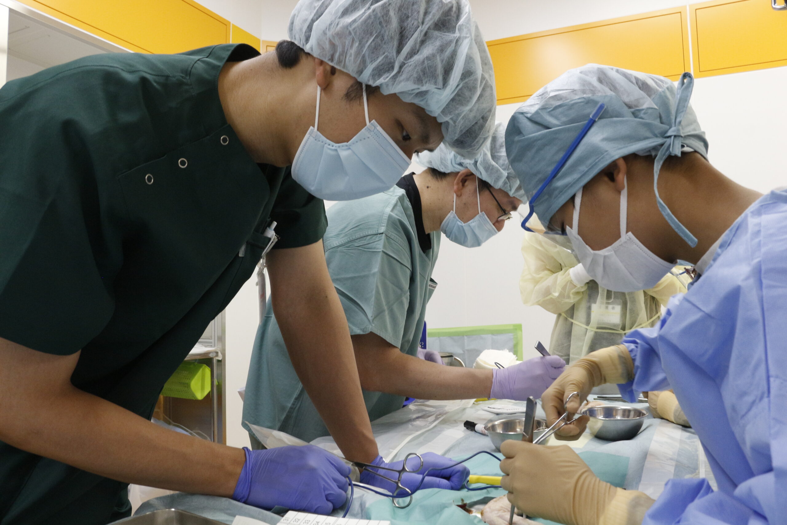 冬休みキッズツアー「1日特命ドクターになろう」