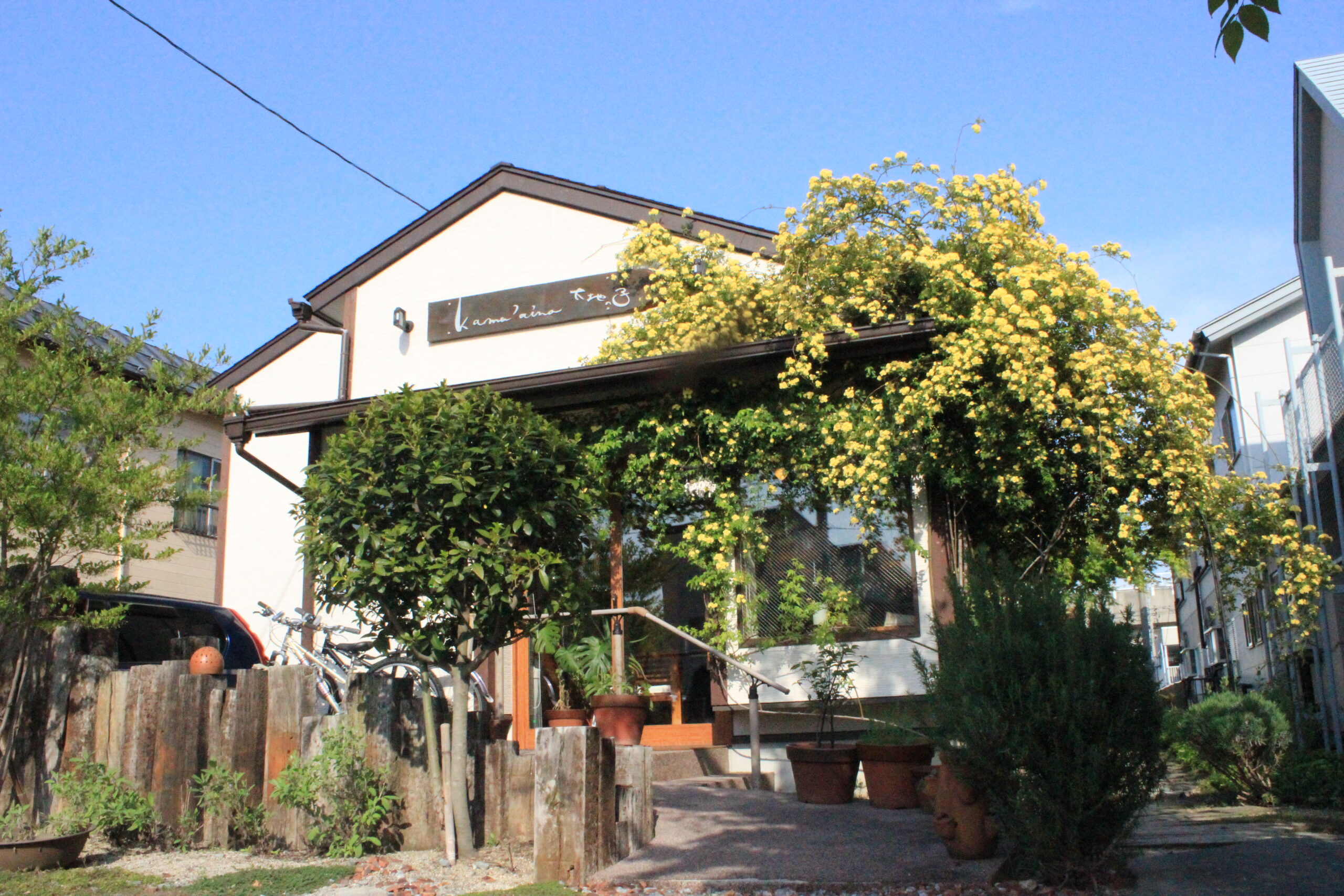 【期間限定】郡山市安積町「kama’aina(カマアイナ)大地の子」からうれしいサービスを実施します♪