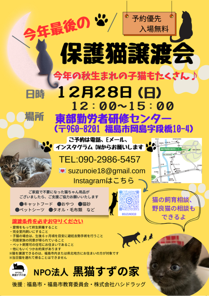 今年最後の保護猫譲渡会