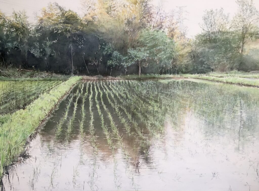 遠藤和雄水彩画展　ふるさとの田んぼ