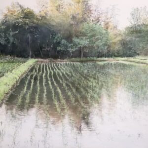 遠藤和雄水彩画展　ふるさとの田んぼ