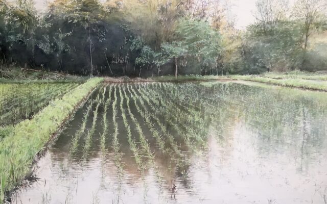 遠藤和雄水彩画展　ふるさとの田んぼ