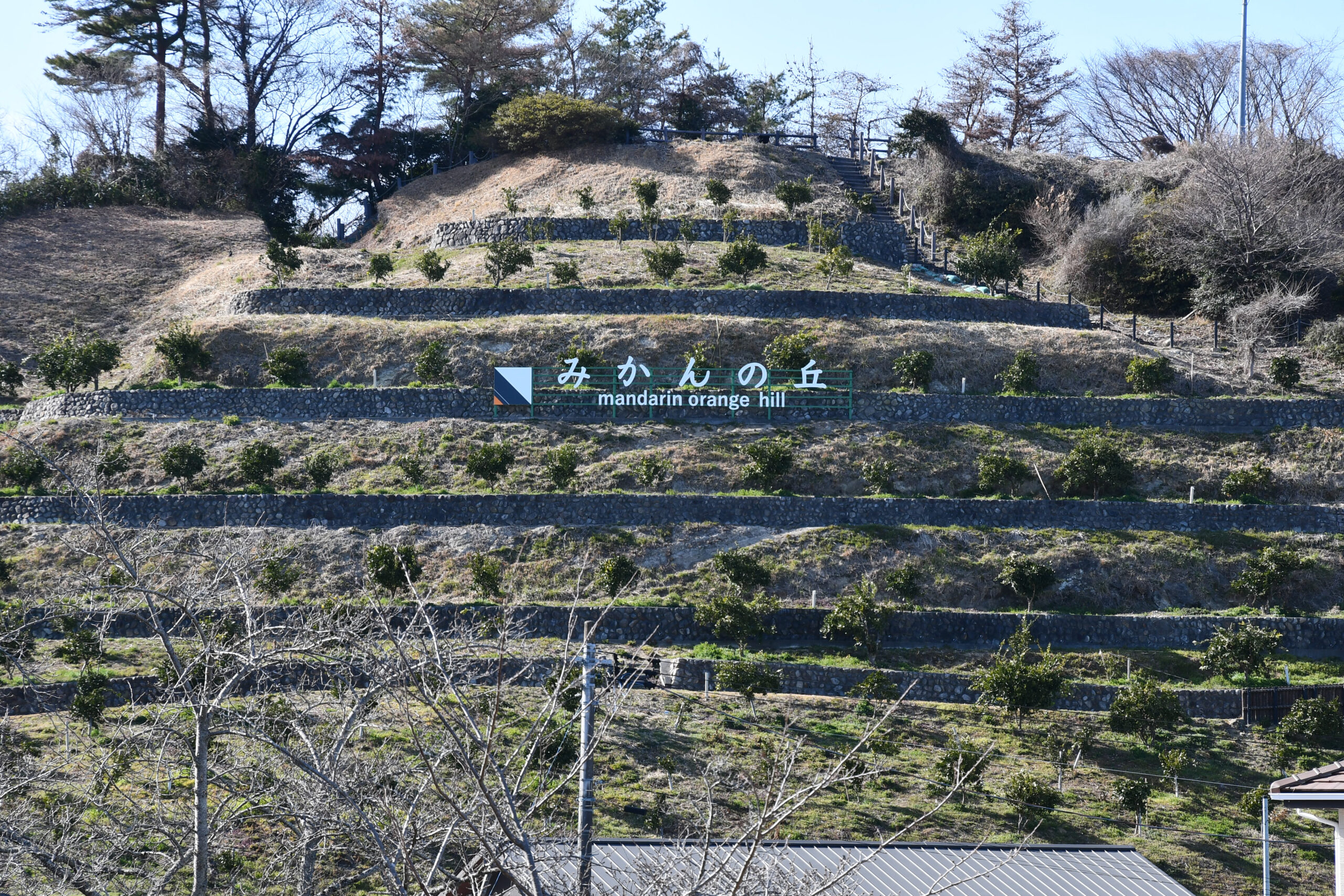 広野町「みかんの丘」