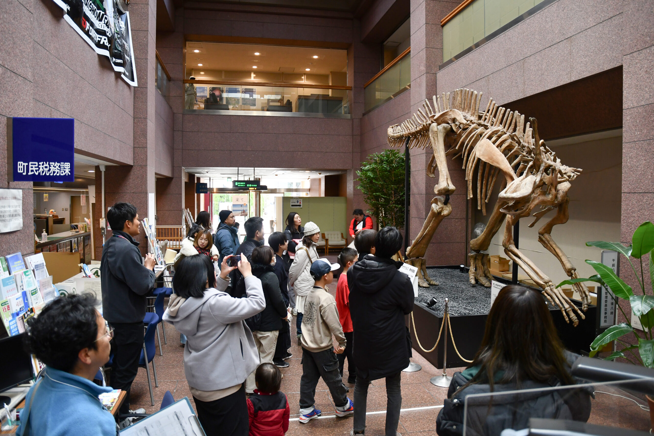 広野町役場 広野町で発掘されたチンタオサウルスの化石標本