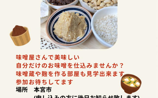 はじめての味噌作り