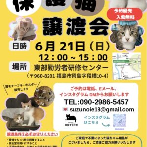 保護猫譲渡会